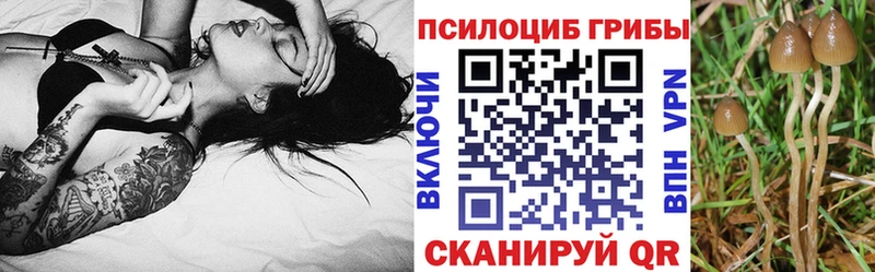 Галлюциногенные грибы GOLDEN TEACHER mega tor Урус-Мартан