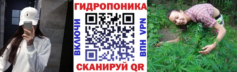 ссылка на мегу ссылки Урус-Мартан Марихуана ГИДРОПОН